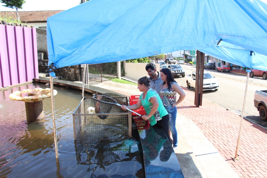 Feira do Peixe traz opção de pescado fresco para a população de Bituruna